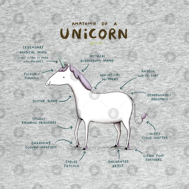 Anatomy of a Unicorn by Sophie Corrigan